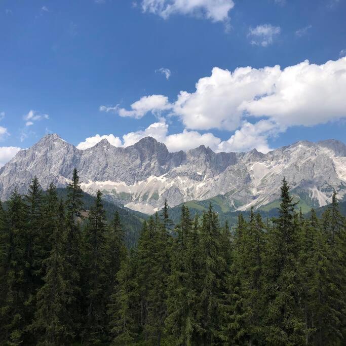 Family Appartment - Dachstein View Ramsau am Dachstein Exterior foto